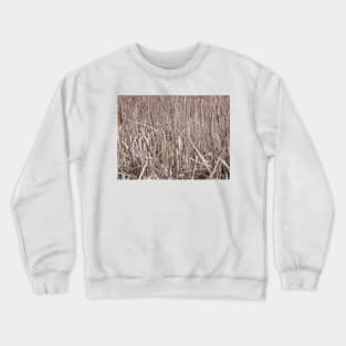 Cattails Crewneck Sweatshirt